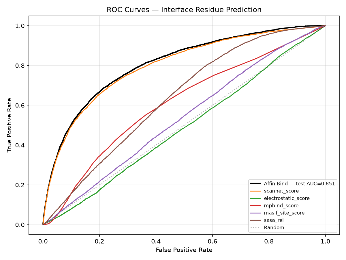ROC curves comparing all five models and the AffiniBind ensemble on per-residue interface classification.